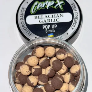 Бойли плаваючі POP UPS - BELACHAN GARLIC (БІЛАЧАН ЧАСНИК) 8мм ТМ CarpX